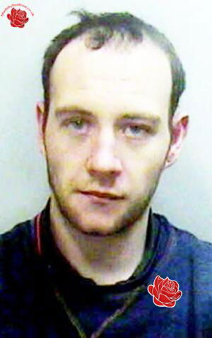 Alan Morton – profile image