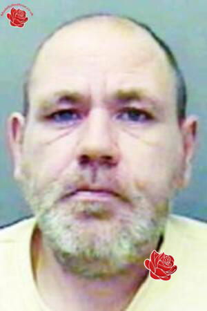 Brian Greenwood – profile image