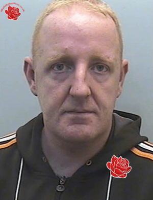 Steven Clements – profile image