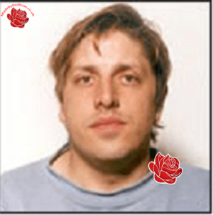 Andrew Wellard – profile image