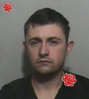 Darren Cook – profile image