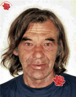 Harry Burns – profile image