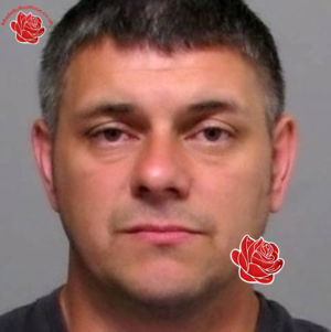 Stephen Bolton – profile image