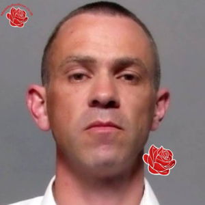 Paul Robinson – profile image