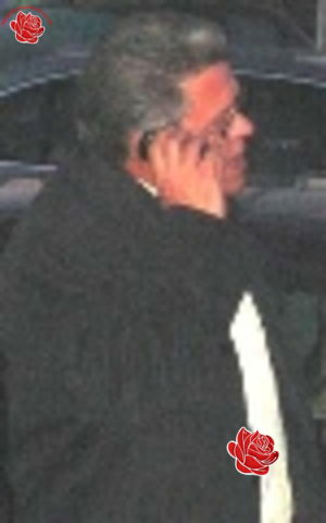 Peter Darling – profile image