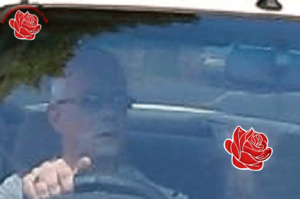Steven Parker – profile image
