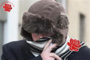 Gary Wheatley – profile image