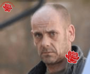 Stephen Trimble – profile image