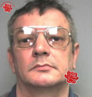 Paul Allison – profile image