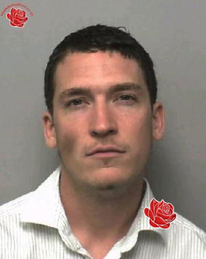 Robert Healy – profile image