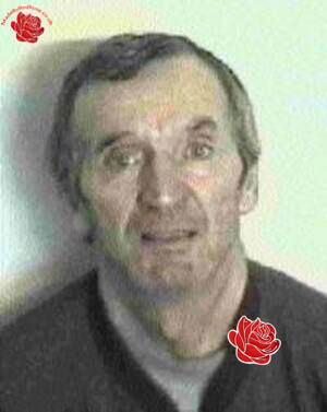 Brian Phelps – profile image