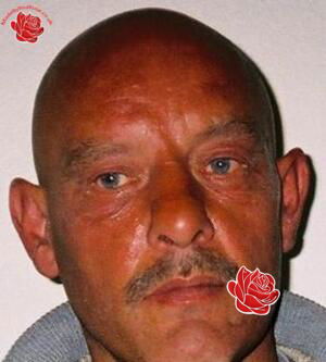 Stephen Hughes – profile image