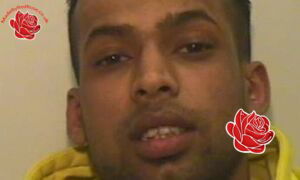 Shofik Ali – profile image