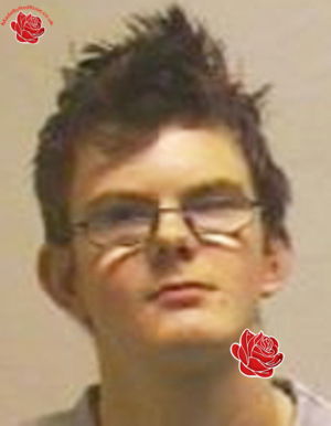 David Dale – profile image