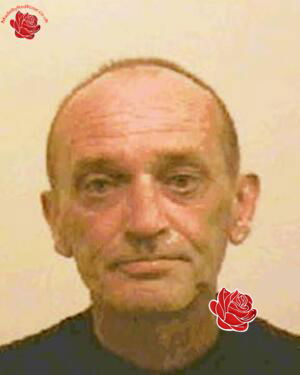 Peter Dunlop – profile image