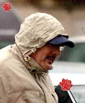 Stephen Glover – profile image