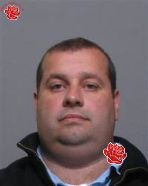 Paul Wood – profile image