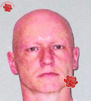 John Tooby – profile image