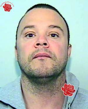 Paul Shiel – profile image