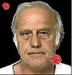 Brian Upton – profile image