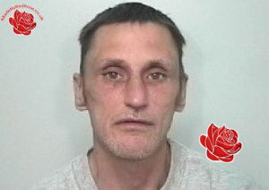 Lee Adams – profile image
