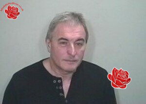 Steve Dillon – profile image