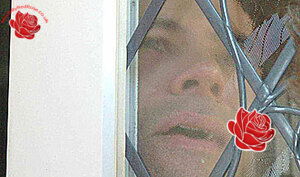 David Ashton – profile image