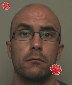 Liam Shields – profile image