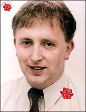Steven Taylor – profile image