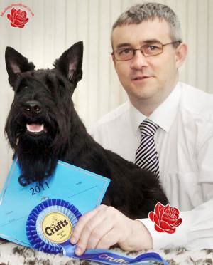 Ian Hopcutt – profile image