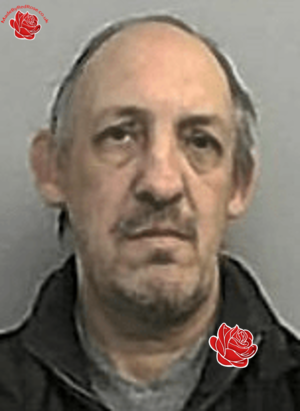 David Reed – profile image