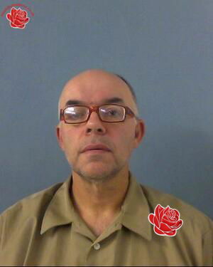 Robert Dando – profile image