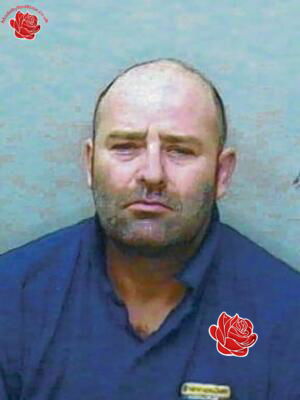 Nigel Andrews – profile image