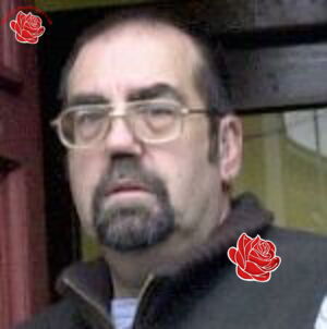 Stephen Williams – profile image