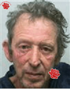 Brian Hughes – profile image
