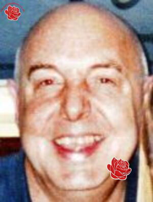 Alan Johnson – profile image
