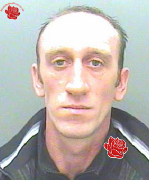 Andy Wilson – profile image