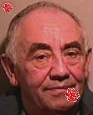 Peter Martin – profile image