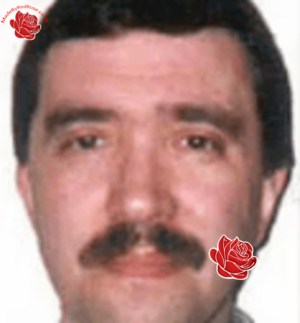 David Berman – profile image