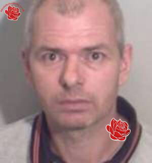 Martyn Palmer – profile image