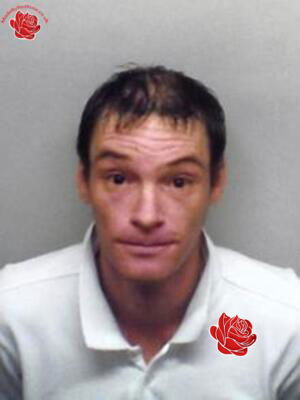 Alan Tilley – profile image