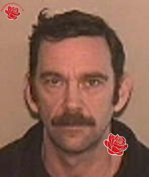 Paul Harper – profile image