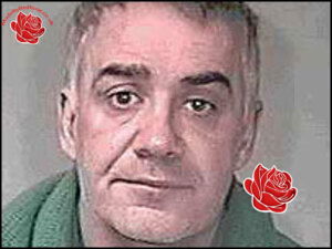 Stephen Ayre – profile image