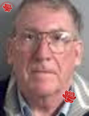 William Stevenson – profile image