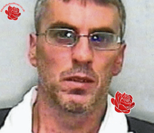 David Womersley – profile image
