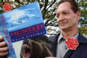 David Fletcher – profile image