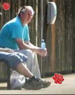 Peter Wilson – profile image