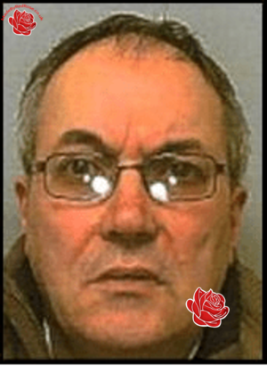 Peter Willoughby – profile image