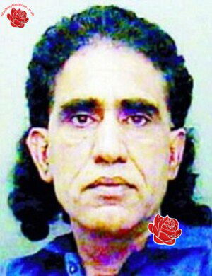 Zulfar Hussain – profile image
