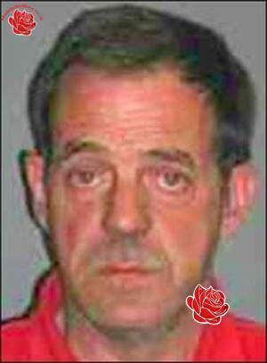 Stephen Carter – profile image